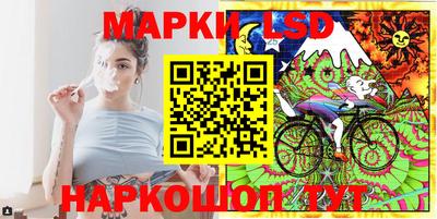 гашик Донецк