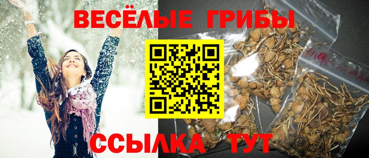 ЭКСТАЗИ Самара