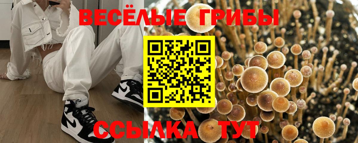 Галлюциногенные грибы прущие грибы  где купить наркоту  Самара  Вход с VPN 
